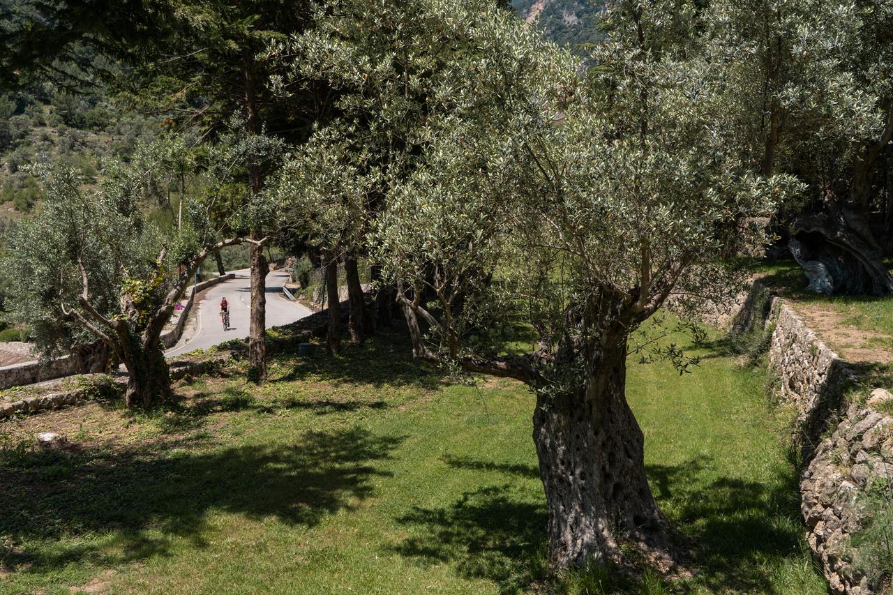 Alfabia Nou Agroturismo Bunyola Exterior photo